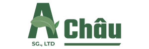 A Chau SG